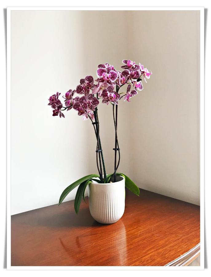 Spacious And Modern 2 Bedroom Flat Near The City Centre Edynburg Zewnętrze zdjęcie